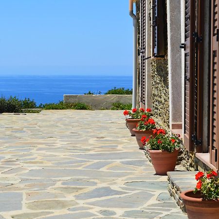 Agriturismo Finagliosu Palmadula Exterior foto